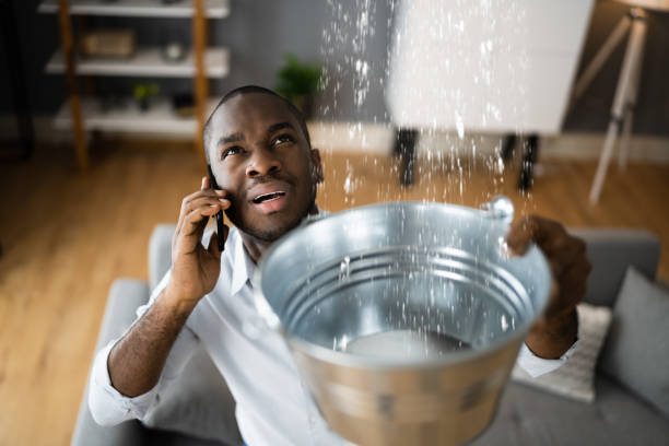 Best Water damage restoration insurance claims  in Willow Creek, CA