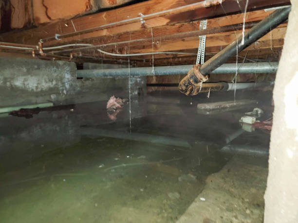Best Water damage restoration near me  in Willow Creek, CA