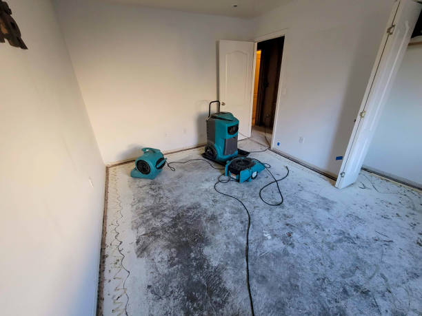 Best Water damage restoration near me  in Willow Creek, CA