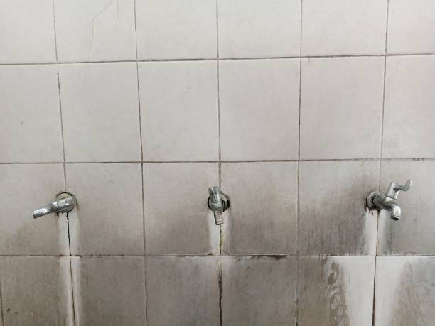 Best Local water damage restoration  in Willow Creek, CA