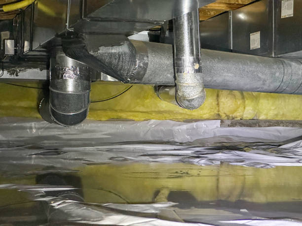 Best Mold removal after water damage  in Willow Creek, CA