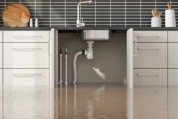 Best Emergency water damage restoration  in Willow Creek, CA