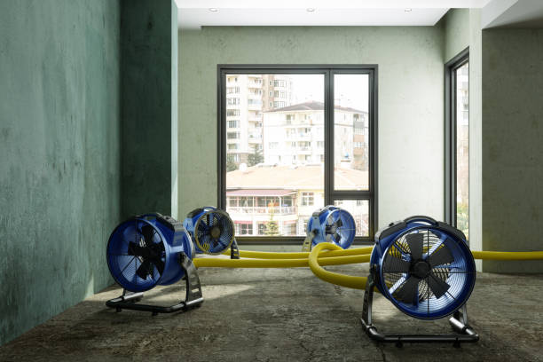 Best 24/7 water damage repair  in Willow Creek, CA